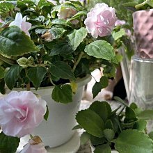 ＊ ꧁ 左兒 朵拉 ꧂【Mia Mia設計師2023秋冬♛新品 /特惠】炸美的好嗎~ 防風鋪棉外套 騎士風 滿版精緻電繡字母 歷史價格詳細信息