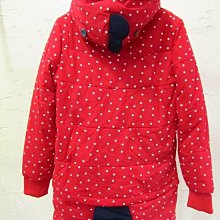 全新◎有吊牌◎ABEL FOXS◎L碼女版車褲3D一體凹槽抗菌排汗透氣坐墊自行車褲~極致柔，減震設計~ 歷史價格詳細信息