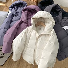 【日系時尚】【不鏽鋼天王】不鏽鋼廚具-不鏽鋼檯面塑合板門(220公分以內) 歷史價格詳細信息