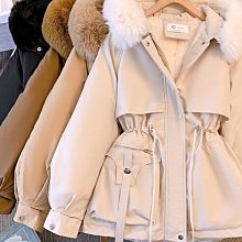 羽毛高腰收腹提臀無痕速乾內褲(4入組) 歷史價格詳細信息