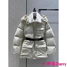 【Cherry的更衣室】現貨-慵懶復古羊羔毛寬鬆加絨加厚BF男友風T恤圓領中長款網紅派對情人節約會抖音學生秋冬保暖上衣- 歷史價格詳細信息