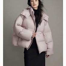 泡芙雲朵單肩腋下包包女2023新款韓系購物袋褶皺手提包小眾託特包 歷史價格詳細信息