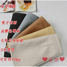 呢子包包女秋冬2023新款時尚小眾設計單肩斜挎包高級感手提枕頭包 歷史價格詳細信息