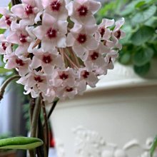 ＊ ꧁ 左兒 朵拉 ꧂【Mia Mia設計師2023秋冬♛新品 /特惠】炸美的好嗎~ 防風鋪棉外套 騎士風 滿版精緻電繡字母 歷史價格詳細信息