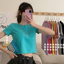 糖果色棉繩 編織啞鈴玩具 狗狗玩具 狗玩具 編織玩具 編織啞鈴玩具 耐咬玩具 - 艾爾發寵物 Alphapetstw 歷史價格詳細信息