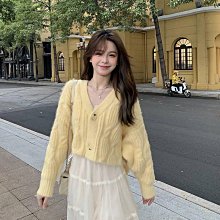 黃色 單扣多用鏈條肩背包 側背包 後背包 歷史價格詳細信息