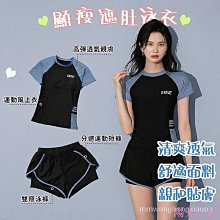兩件式遊泳衣女夏季風保守學生運動顯瘦遮肚四角褲泡溫泉遊泳裝 歷史價格詳細信息
