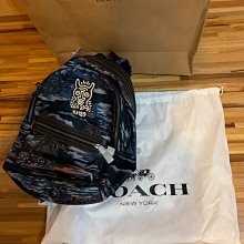 COACH 聯名款大款恐龍玫瑰圖騰PVC斜背肩背手提兩用包(紅棕色/贈原廠防塵袋紙袋 歷史價格詳細信息