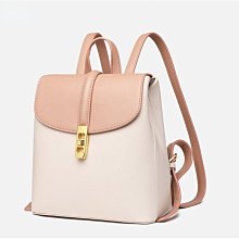 防盜後背包女土書包簡約成人後背雙背肩包背包後背包皮面多用防盜拉鍊冷淡風  露天市集  全台最大的網路購物市集 歷史價格詳細信息