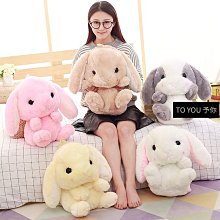 可愛小兔子毛絨玩偶長耳兔娃娃公仔陪睡玩偶抱枕女生日耶誕節禮物 歷史價格詳細信息