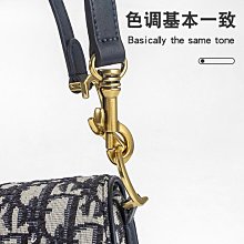 適迪澳奧dio卡改造鏈條肩帶r配件零錢內膽斜挎帶金屬鏈 歷史價格詳細信息