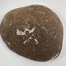 宜昌攪拌站卸料口搖擺洗車攪拌站卸料口搖擺洗車電腦控制洗車 歷史價格詳細信息