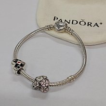 2手正品 GUCCI 經典款 肩背  非 lv kinaz COACH 歷史價格詳細信息