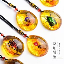 昆蟲琥珀[A3604-6876-1]100%純天然 無任處理 11.5克拉 20百萬年的歷史的天然琥珀產於多米尼加共和國 歷史價格詳細信息