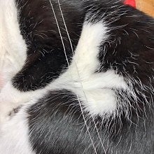 【台北周先生】現貨 美式休閒風衣 寬鬆 暗黑藝術風 造型 個性 薄款 連帽外套 潮流 歷史價格詳細信息