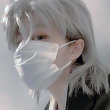 假发真头发全头套逼真女款洋气假发高档全真发中老年时尚短直发~特價 歷史價格詳細信息