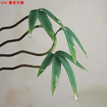 【葉梳匠古樹綠檀木梳】女士長發梳頭專 順發檀香家 養發木梳子 歷史價格詳細信息