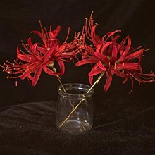 彼岸的風景 異域手工 925純銀 綠松石 南紅 復古做舊 開口戒指~玲瓏心飾 歷史價格詳細信息
