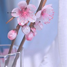 [服飾繪]創意品味圓點領巾素面修身襯衫 歷史價格詳細信息