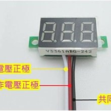 361三態跑鞋NFO Qu!kfoam 旗艦款 跑鞋 回彈 歷史價格詳細信息