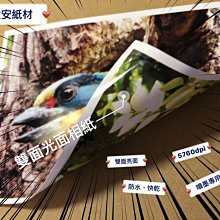 大安紙材♀【220P雙面厚磅防水卡片紙】日本進口噴墨列印彩噴卡紙最高品質紙5760dpi-快乾不滲透 歷史價格詳細信息