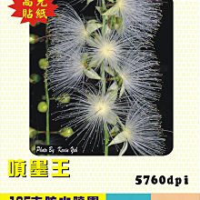 ☆噴墨王☆ 防水PP材質珍珠亮面噴墨貼紙A4x10張 特價135元適合冷凍及高檔產品貼 歷史價格詳細信息