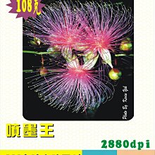 ☆噴墨王☆ 防水PP材質珍珠亮面噴墨貼紙A4x10張 特價135元適合冷凍及高檔產品貼 歷史價格詳細信息