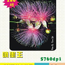 ☆噴墨王☆ 防水PP材質珍珠亮面噴墨貼紙A4x10張 特價135元適合冷凍及高檔產品貼 歷史價格詳細信息