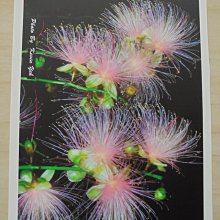 ☆噴墨王☆ 防水PP材質珍珠亮面噴墨貼紙A4x10張 特價135元適合冷凍及高檔產品貼 歷史價格詳細信息