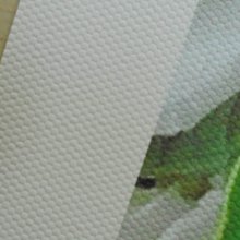 ☆噴墨王☆ 防水PP材質珍珠亮面噴墨貼紙A4x10張 特價135元適合冷凍及高檔產品貼 歷史價格詳細信息