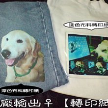 【熱賣】50張張元英明星貼紙個性跨境韓國女團IVE裝飾手機水杯手帳本貼紙【台灣公司免稅開發票】 歷史價格詳細信息