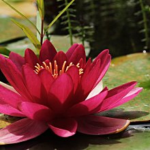 ☆噴墨王☆透明霧面PET塑膠冷裱膜A4*20張100元 歷史價格詳細信息