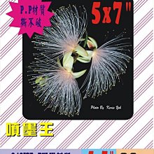 ☆噴墨王☆ 防水PP材質珍珠亮面噴墨貼紙A4x10張 特價135元適合冷凍及高檔產品貼 歷史價格詳細信息