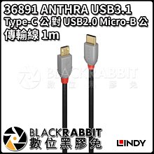 數位黑膠兔【 林帝 36916 Black USB 3.1 Gen 2 Type-C 公 對 Type-A 公 1m 】 歷史價格詳細信息