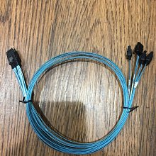 Mini SAS SFF-8087右彎頭轉4組SATA線反向線 歷史價格詳細信息