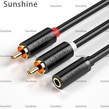 [Sunshine]磊邦 音頻線一分二3.5mm轉雙蓮花頭rca插頭手機臺式機電腦功放音箱通用低音炮線輸出AUX轉換線音響連接線1分2#長度規格建議詢價 歷史價格詳細信息