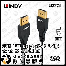 LINDY 林帝 SLIM DisplayPort 1.4版 公 to 公 傳輸線 1m (36461) 歷史價格詳細信息