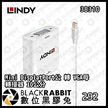LINDY 林帝 mini DisplayPort公 轉 4K HDMI母 主動式轉接器 (41729) 歷史價格詳細信息
