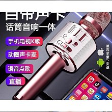 【【優質優質麥克風 無線一拖二直播聲卡KTV帶混響麥克風萬能咪U段調頻廣場舞音箱話筒 歷史價格詳細信息