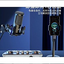 新款聲優a3音響可攜式戶外k歌廣場舞話筒立體聲手提音響 歷史價格詳細信息