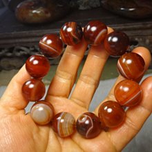 天然正區達拉干隨形 味道超贊、香氣馥郁、 歷史價格詳細信息