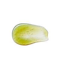 【現貨正品】雙面專用氣墊BB粉撲2入裝 乾濕兩用 雙面可用 柔和貼膚 不易變形 化妝用具 歷史價格詳細信息