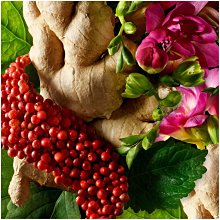 英國MOLTON BROWN 粉紅胡椒沐浴凝膠300ML 歷史價格詳細信息