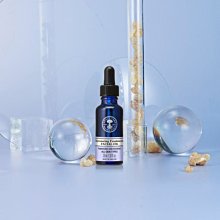 英國庭園之謎 有栖川有栖 雙頭惡魔 女王國之城作者 小知堂文化 A04 歷史價格詳細信息