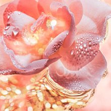 專櫃正品 BVLGARI 寶格麗 SERPENTI 18K黃金 綠碧璽鑲鑽 手鐲 S號（全新福利品！優惠6折出清換現金） 歷史價格詳細信息