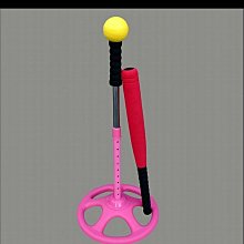 （贈3個拖布）免手洗拖把 魔術 懶人平板 乾濕兩用 地板清潔 吸水專門 不沾手 直立式 收納 歷史價格詳細信息