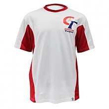 CT中華隊 ~~官方授權限量 Mizuno美津濃 運動毛巾 加油毛巾 紀念毛巾(12TYBX8022P) 歷史價格詳細信息