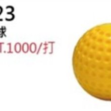 GST28【SSK.GST壘包系列】職業用本壘板 (1個) ?保證公司貨 歷史價格詳細信息