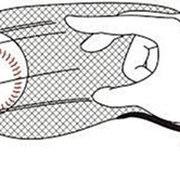 {圓圓小舖}全新日本進口日本製高階棒壘球手套專用牛油膠 掌心補膠 掌心不平整救星 歷史價格詳細信息