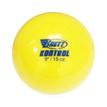 野球人生---BBRETT 打擊回饋訓練鐵砂球 AC-33-20 歷史價格詳細信息